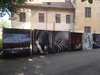 Рекламні банери у Львові